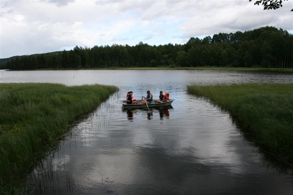 1002x660 pixels (86K)