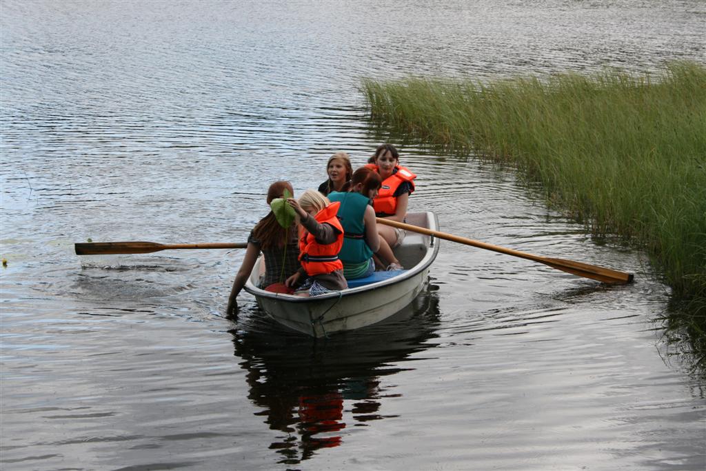 1002x660 pixels (136K)