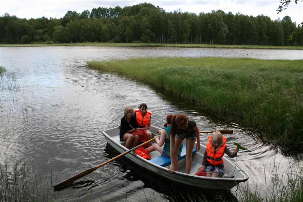 1002x660 pixels (137K)