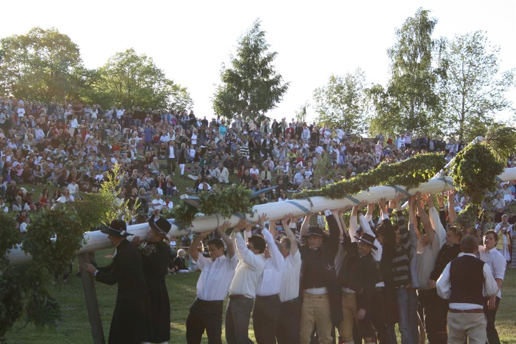 1002x660 pixels (133K)