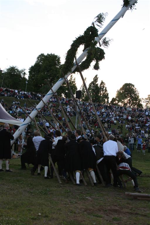 490x745 pixels (69K)