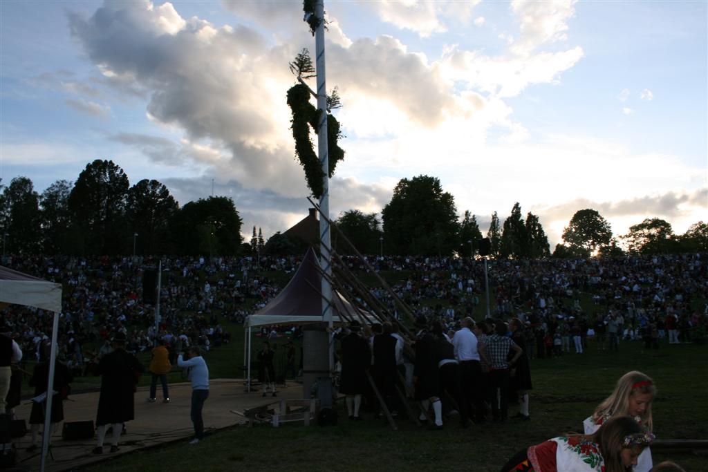 1002x660 pixels (85K)