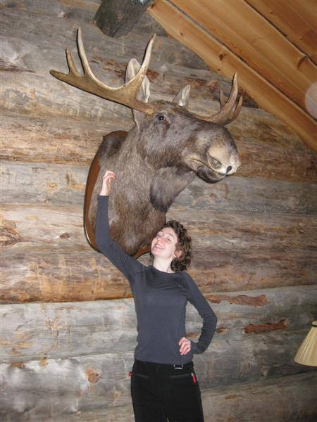 428x577 pixels (51K)