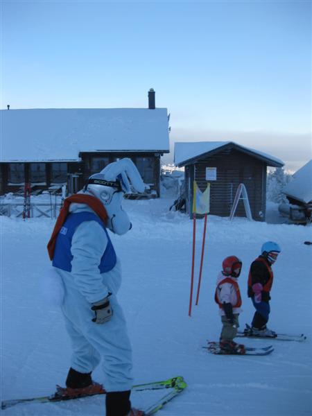 428x577 pixels (32K)