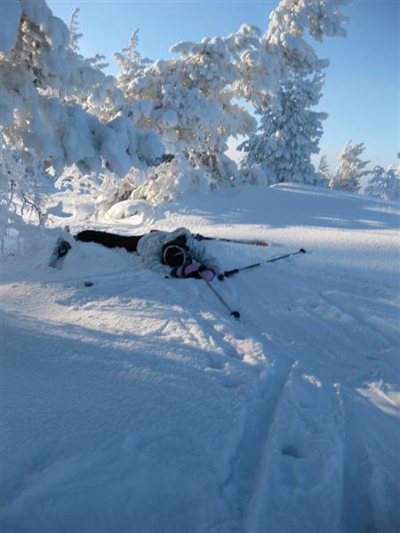 428x577 pixels (41K)