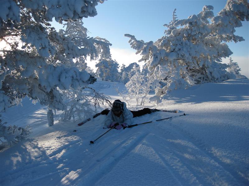 778x577 pixels (82K)