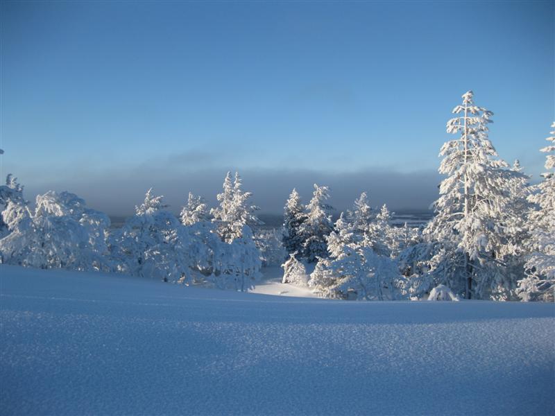 778x577 pixels (59K)