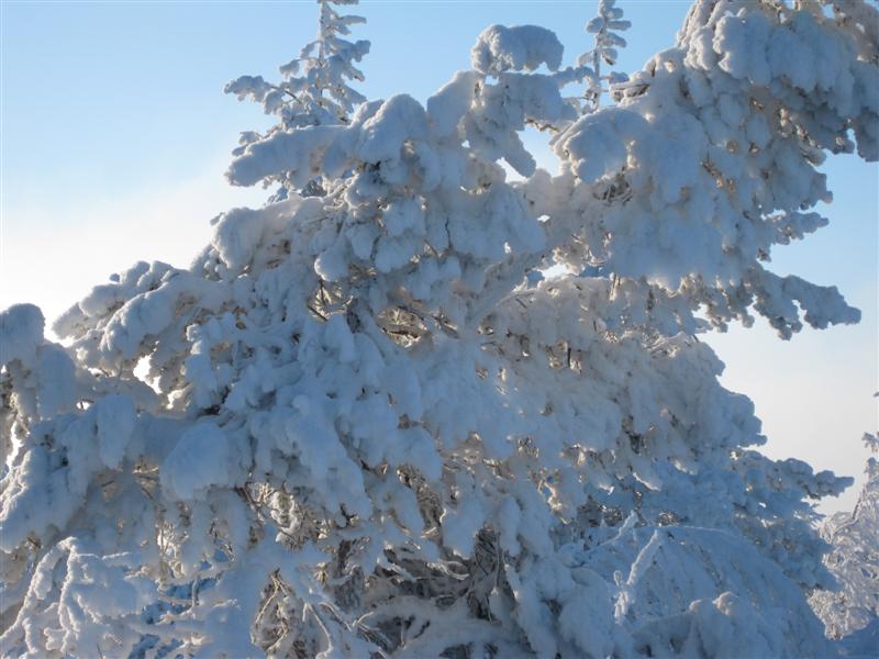 778x577 pixels (72K)