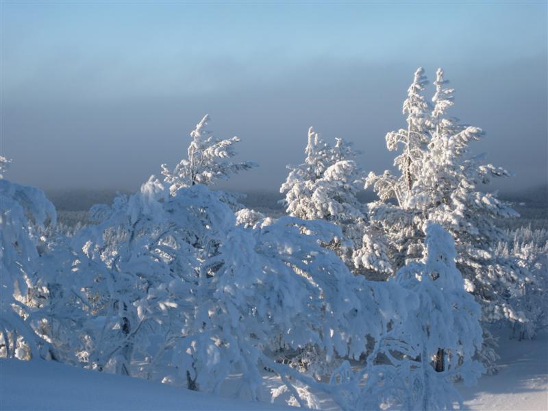 778x577 pixels (63K)