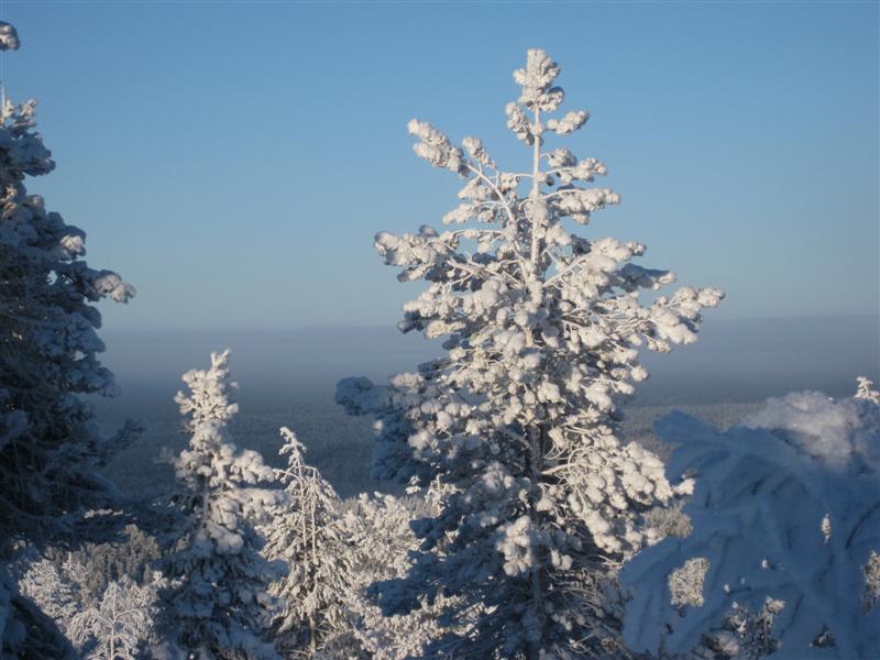 778x577 pixels (71K)