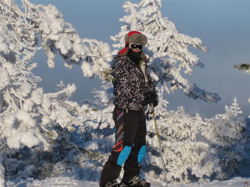 778x577 pixels (89K)