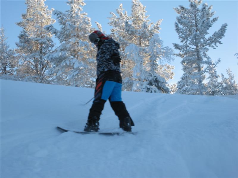 778x577 pixels (62K)