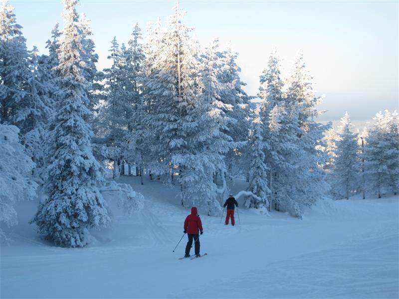 778x577 pixels (75K)