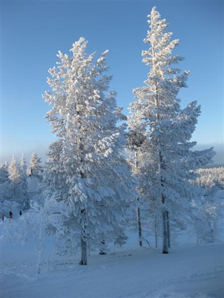 428x577 pixels (45K)