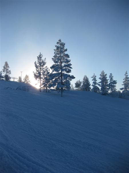 428x577 pixels (29K)