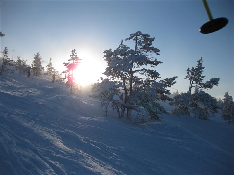 778x577 pixels (55K)