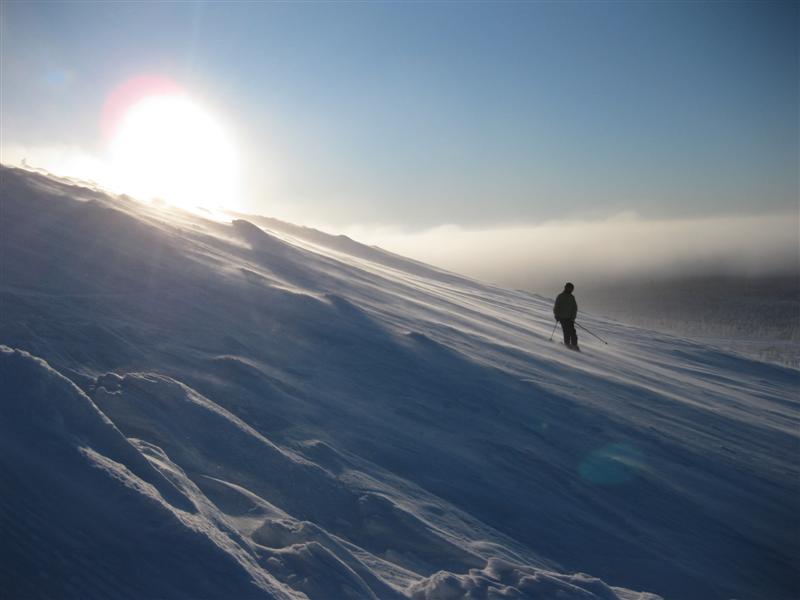 778x577 pixels (40K)