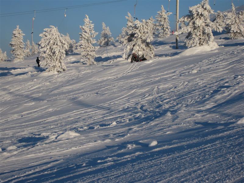 778x577 pixels (99K)