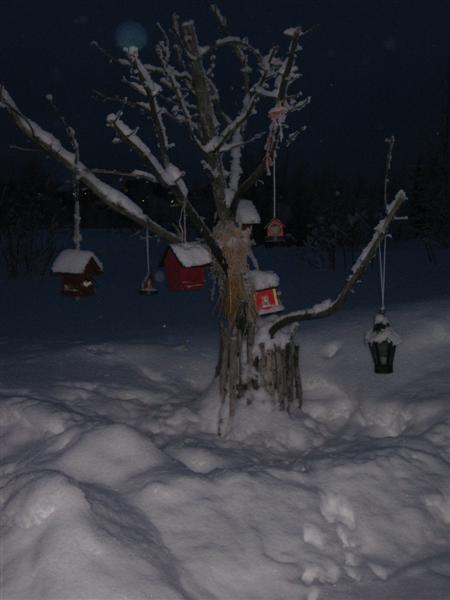 428x577 pixels (30K)