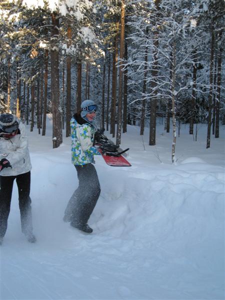 428x577 pixels (55K)