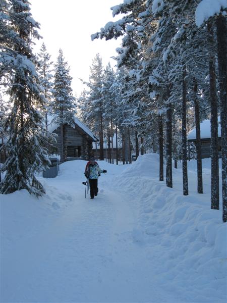 428x577 pixels (57K)