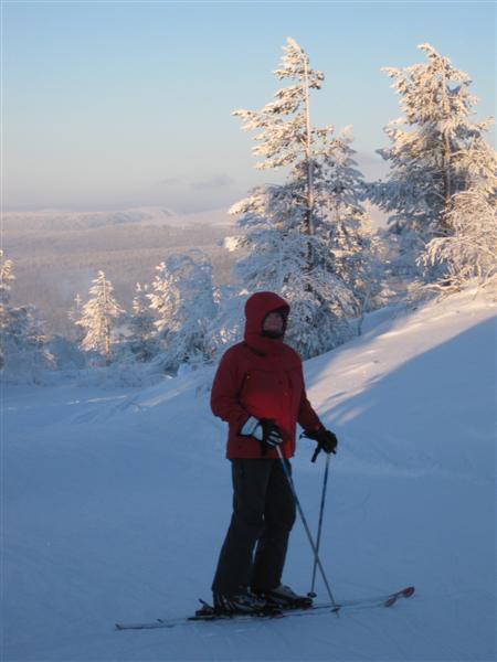 428x577 pixels (35K)