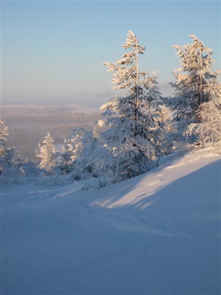 428x577 pixels (34K)