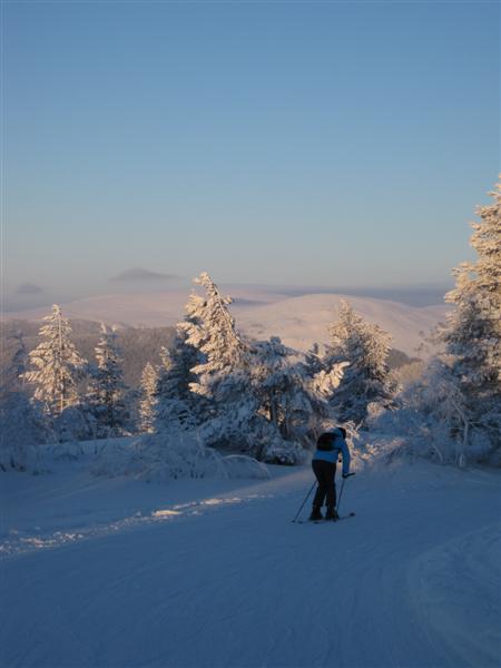 428x577 pixels (29K)