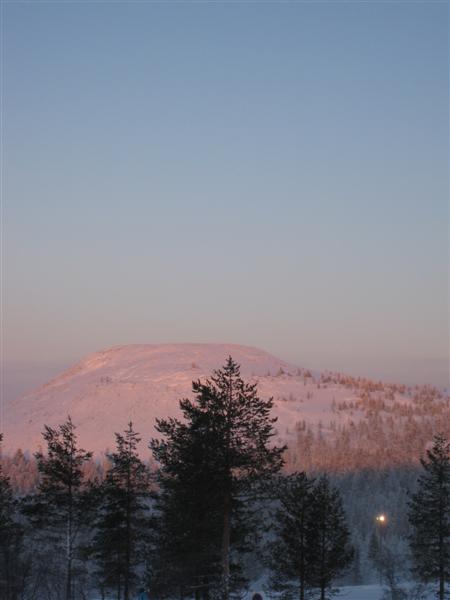 428x577 pixels (26K)