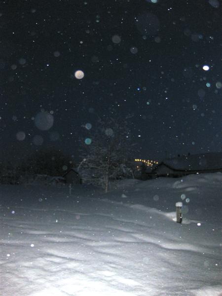 428x577 pixels (29K)