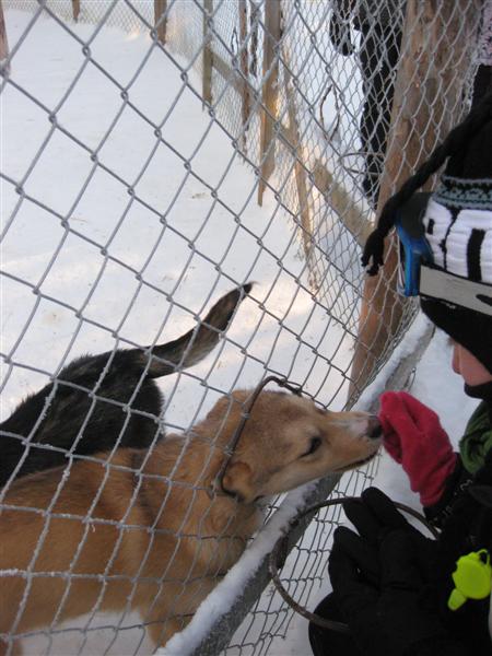 428x577 pixels (58K)