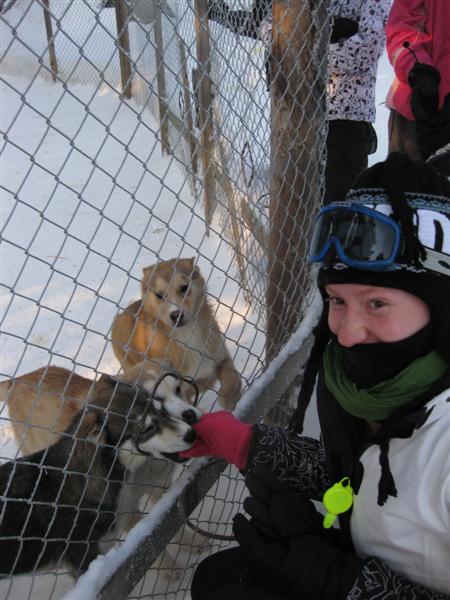 428x577 pixels (58K)