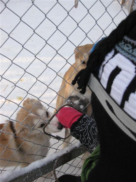 428x577 pixels (49K)