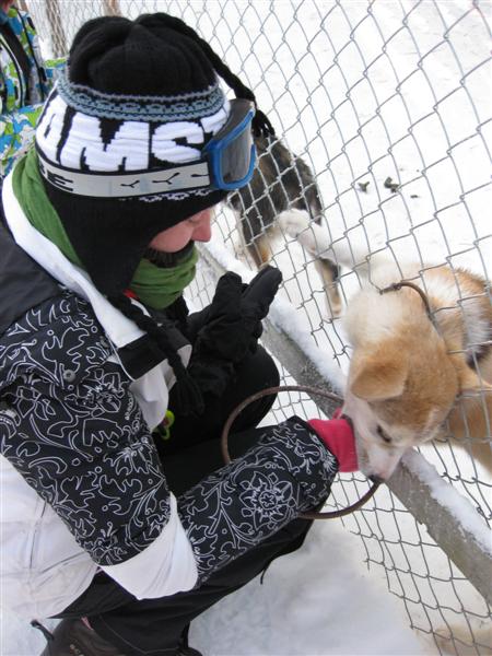 428x577 pixels (65K)