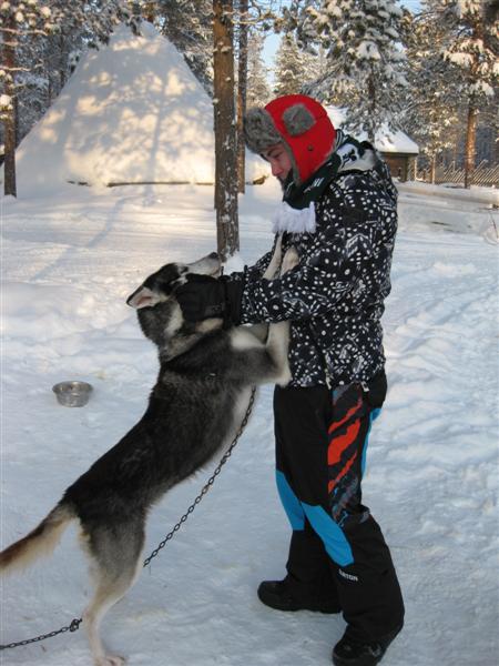 428x577 pixels (58K)