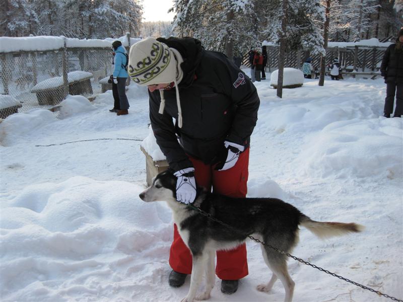 778x577 pixels (79K)