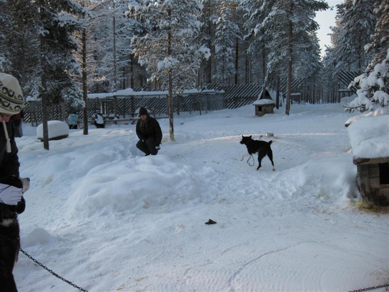 778x577 pixels (84K)