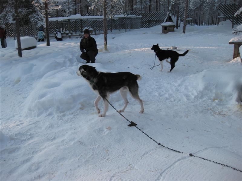 778x577 pixels (69K)