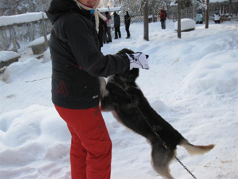 778x577 pixels (67K)