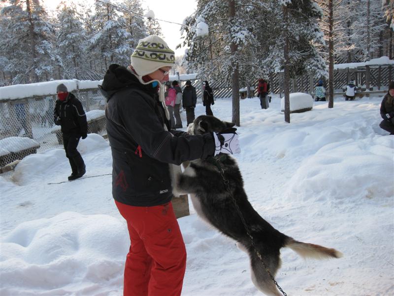 778x577 pixels (88K)