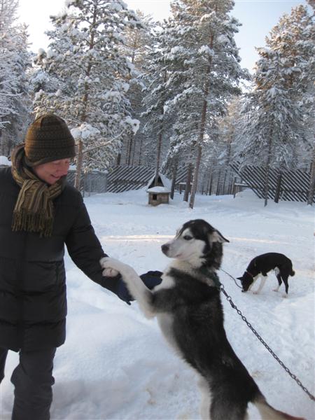 428x577 pixels (59K)