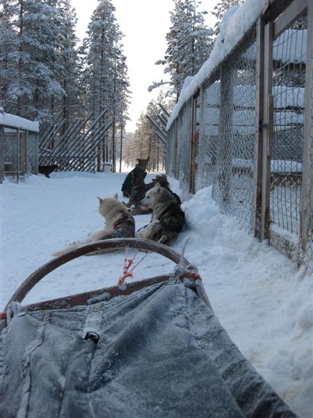 428x577 pixels (60K)