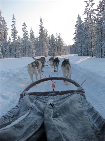 428x577 pixels (50K)