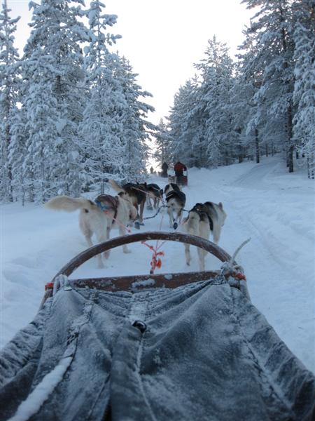 428x577 pixels (57K)