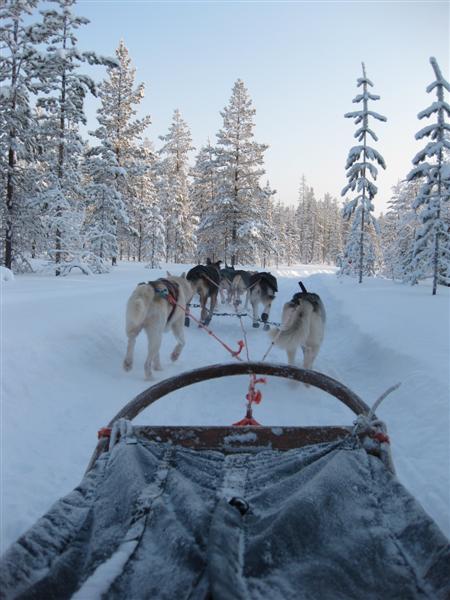 428x577 pixels (52K)