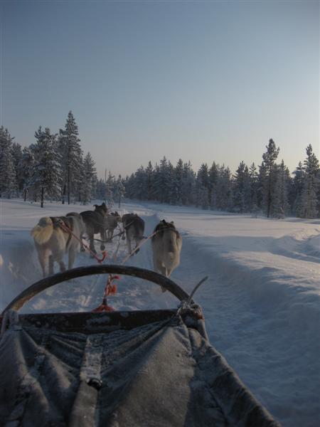 428x577 pixels (33K)