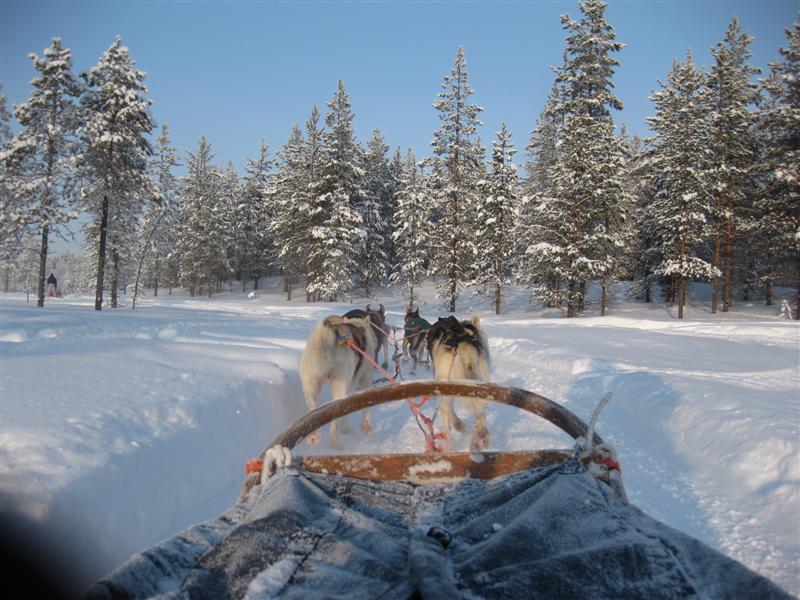 778x577 pixels (96K)