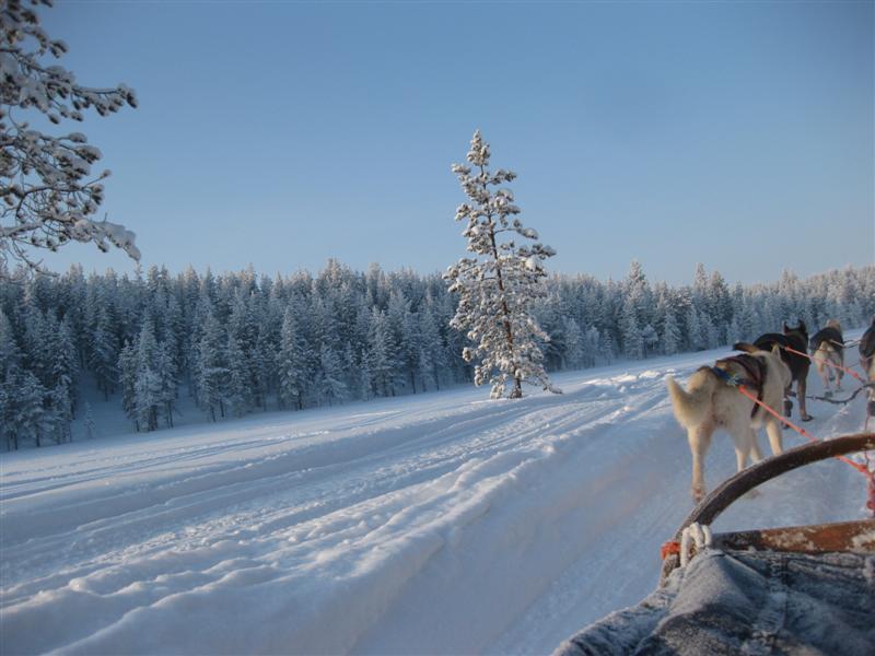 778x577 pixels (62K)