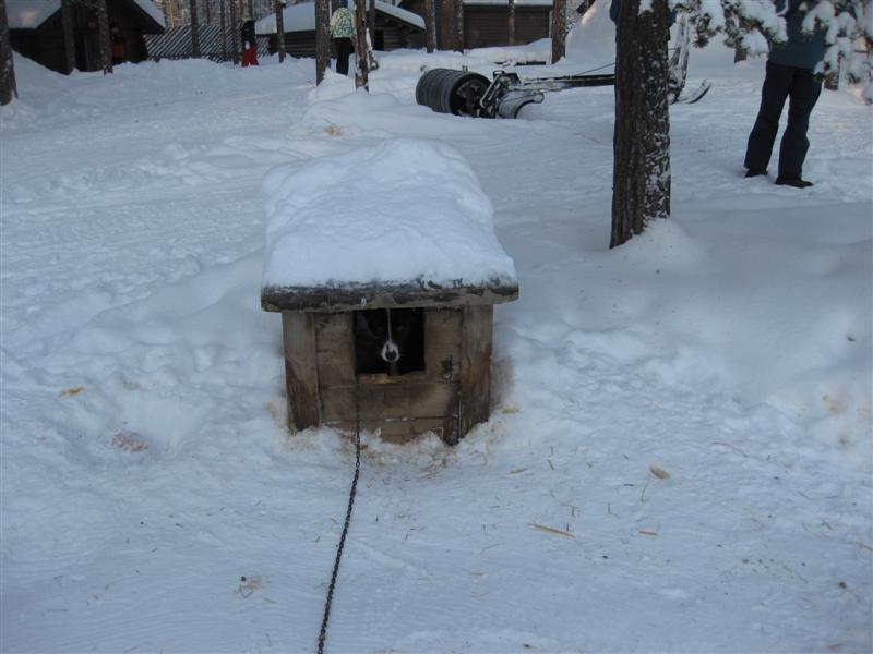 778x577 pixels (56K)