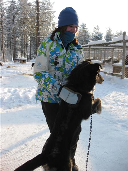 428x577 pixels (54K)